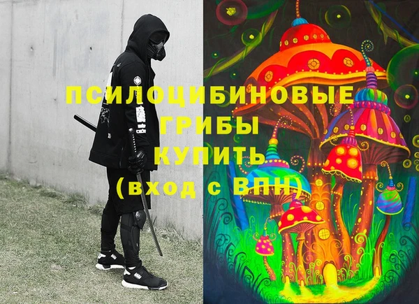 тгк Осташков