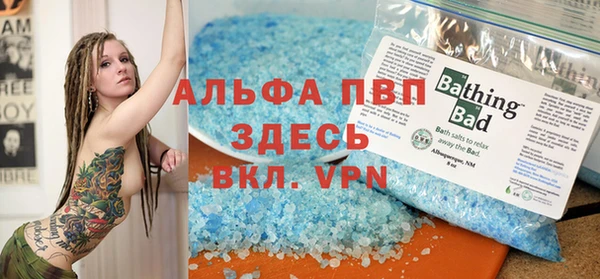 спиды Кукмор